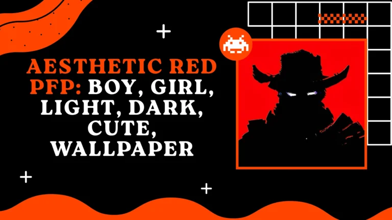 Aesthetic Red PFP