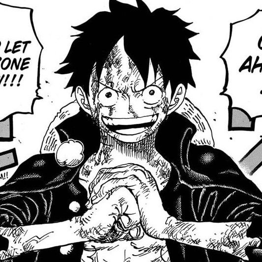 Black and White Monkey D. Luffy PFP