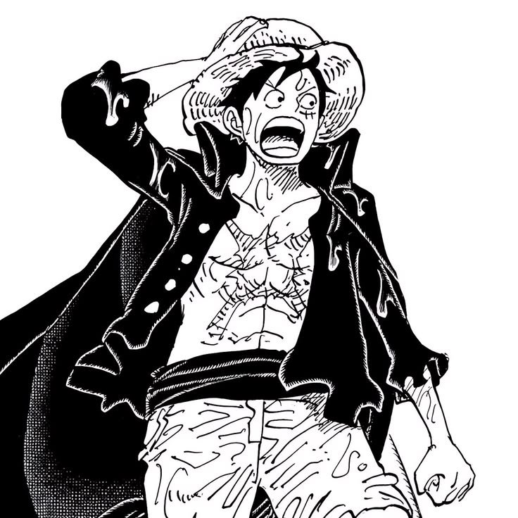 Black and White Monkey D. Luffy PFP
