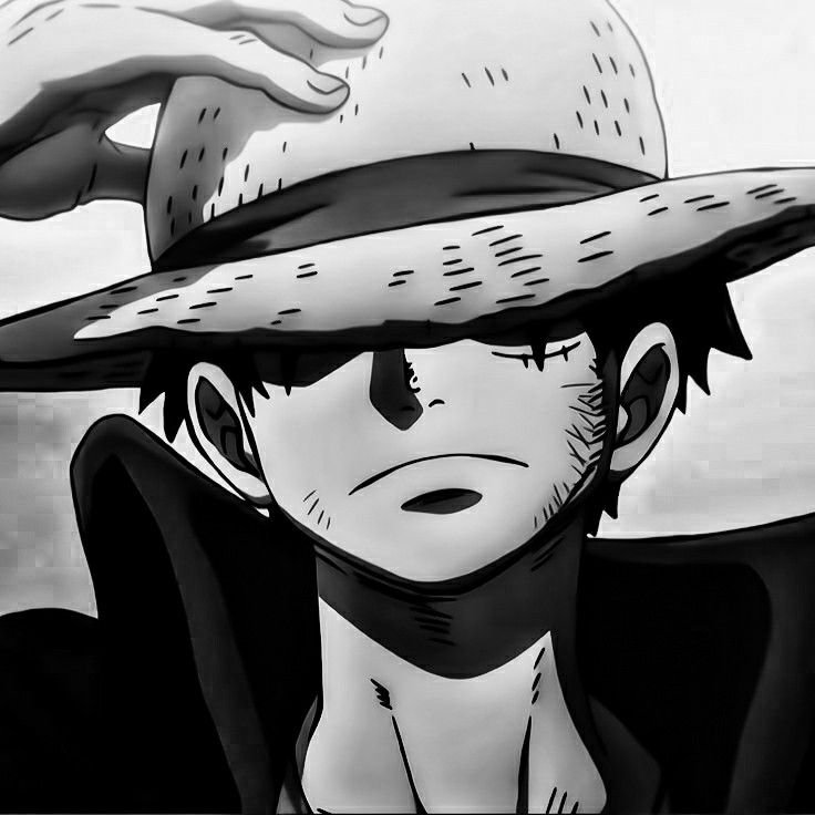 Black and White One Piece PFP