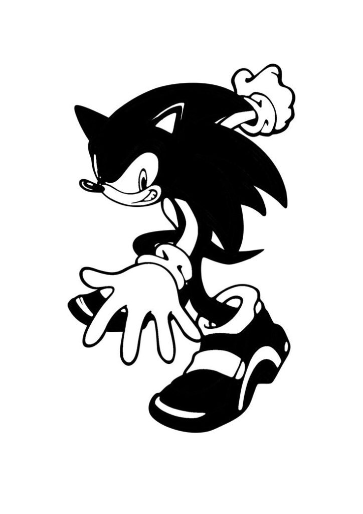 Black and White Sonic PFP