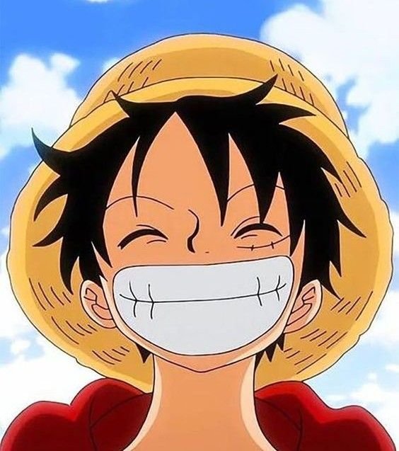 Cute Monkey D. Luffy PFP