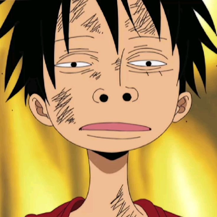 Funny Meme One Piece PFP
