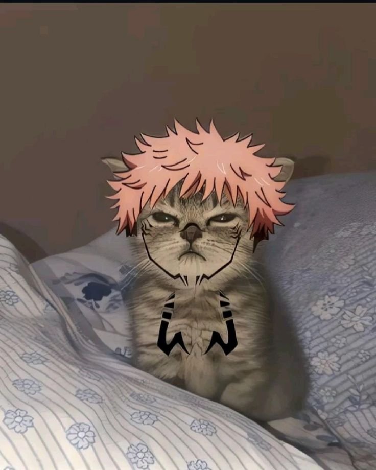 Funny Meme Ryomen Sukuna PFP