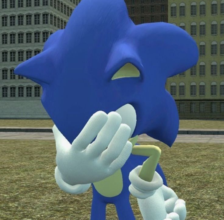Funny  Meme Sonic PFP