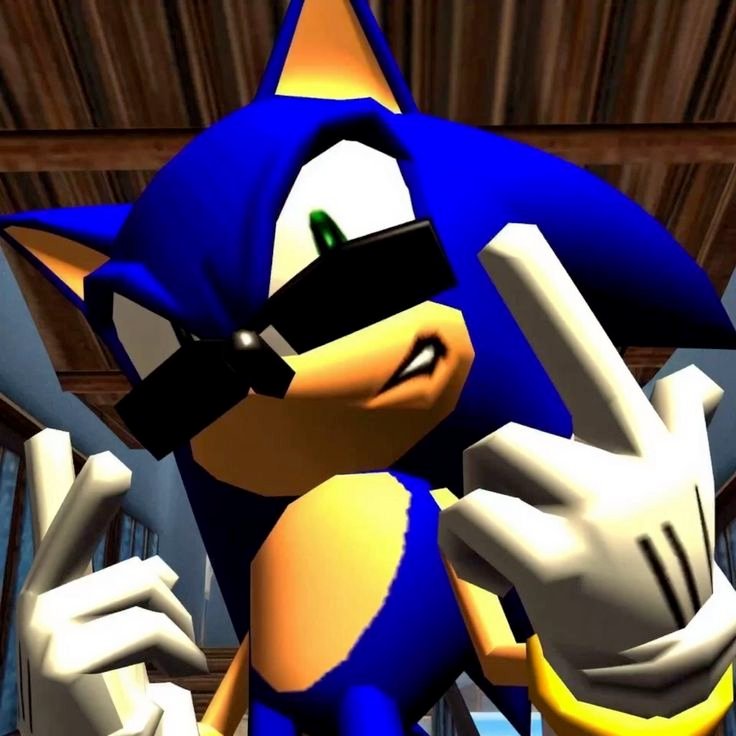 Funny  Meme Sonic PFP