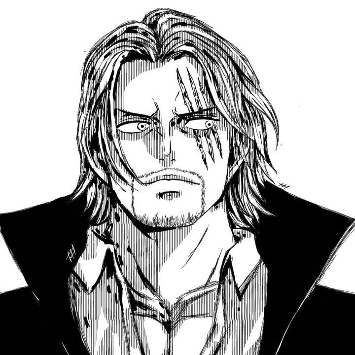 Manga One Piece PFP