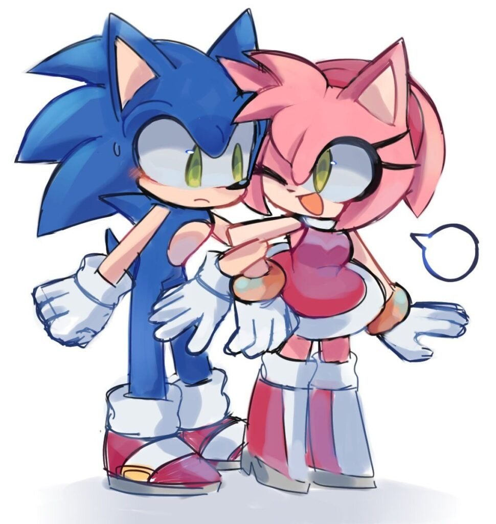 Matching  Couple Sonic PFP