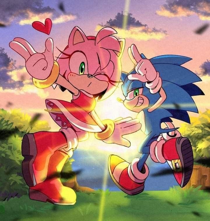 Matching  Couple Sonic PFP