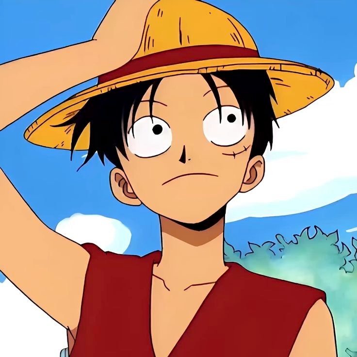 Pinterest Monkey D. Luffy PFP