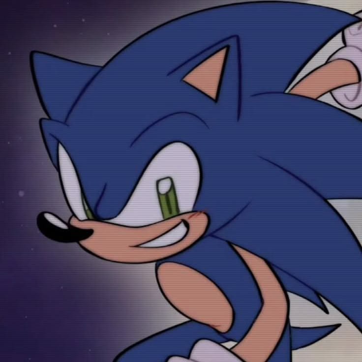 Pinterest Sonic PFP
