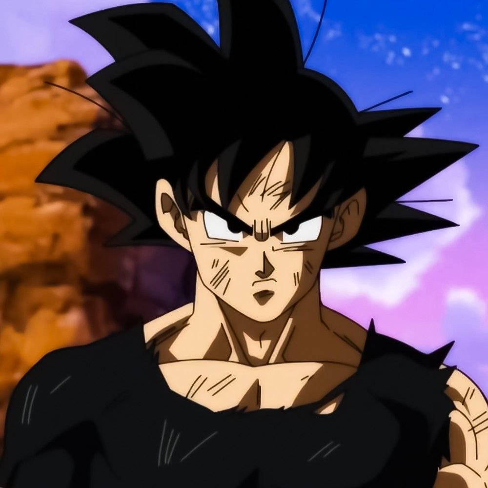 TikTok Goku PFP