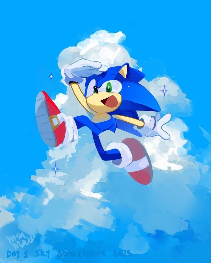 TwitterX Sonic PFP