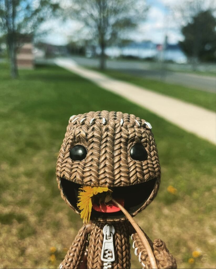 Aesthetic Sackboy PFPs
