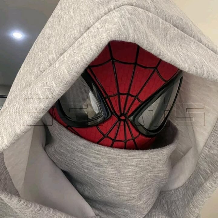 Aesthetic Spider Man PFPs