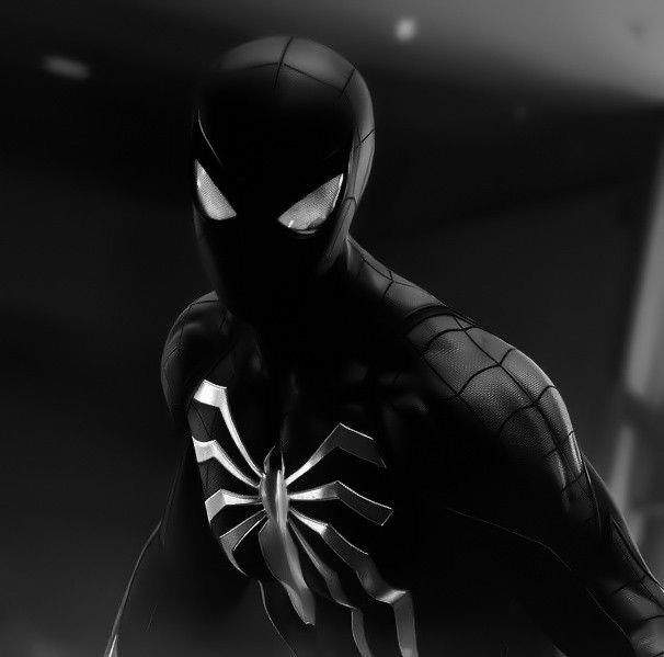 Black and White Spider Man PFPs