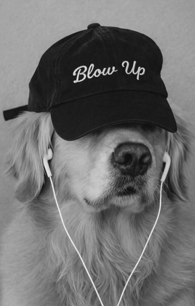 Cool Dog PFPs