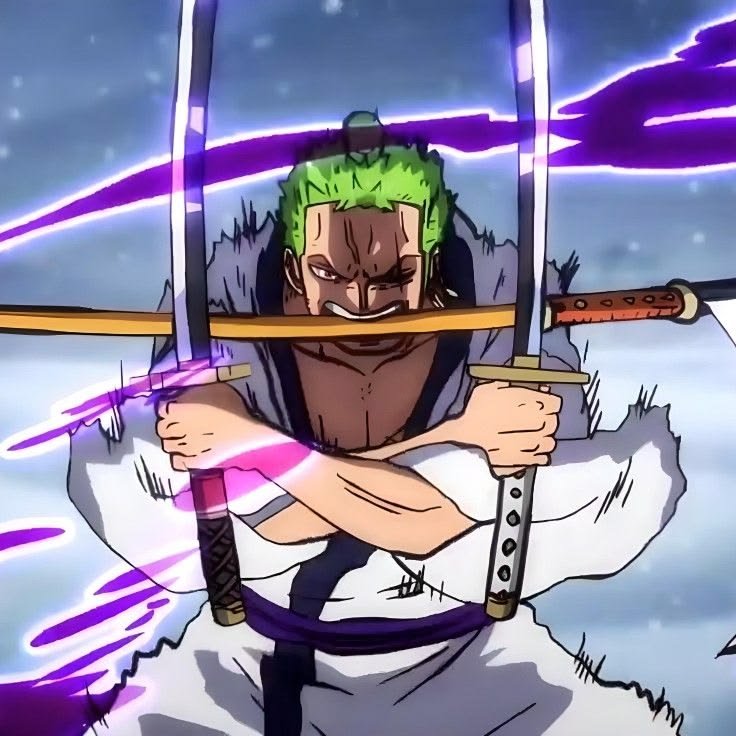Cool Roronoa Zoro PFP