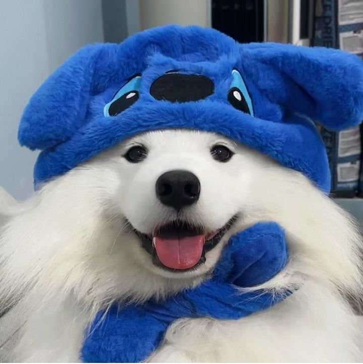 Cute Dog PFPs