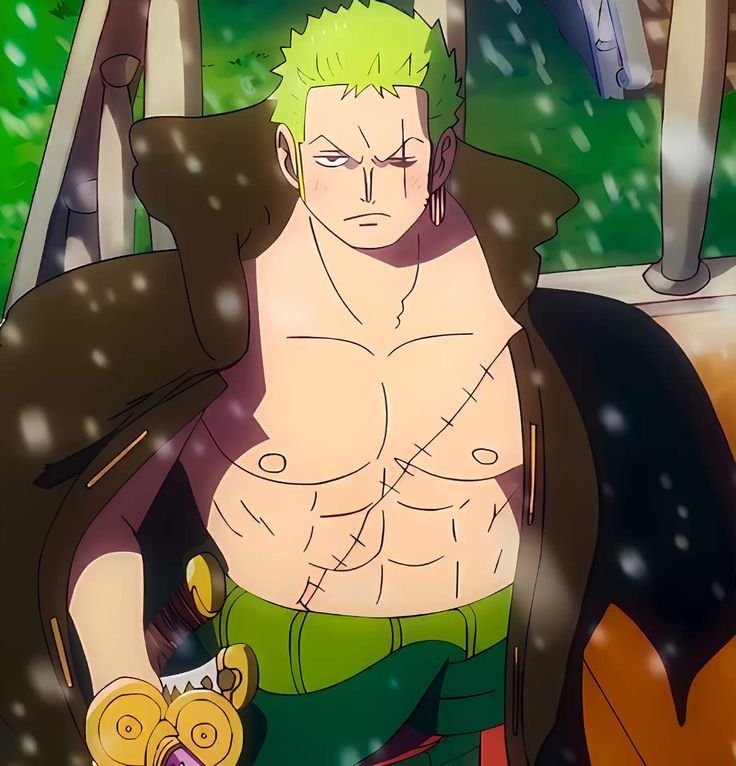 Cute Roronoa Zoro PFP