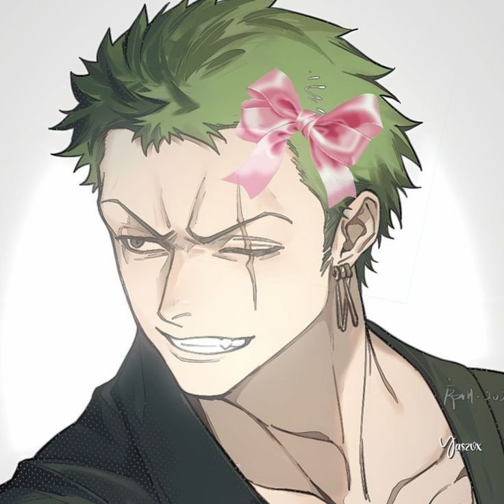 Cute Roronoa Zoro PFP