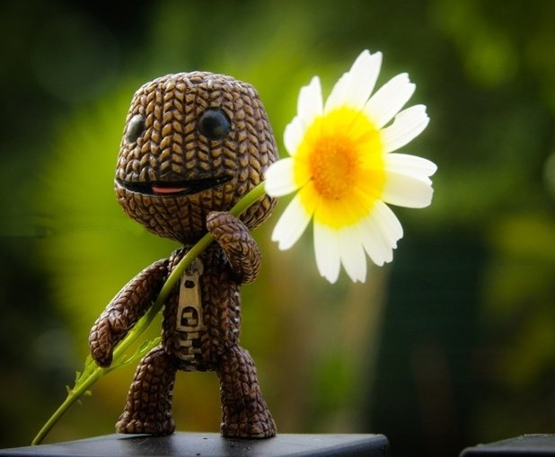 Cute Sackboy PFPs