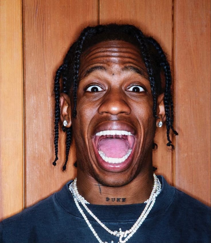 Funny and Meme Travis Scott PFPs
