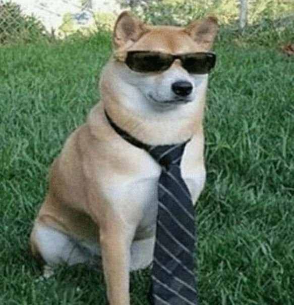 FunnyMeme Dog PFPs