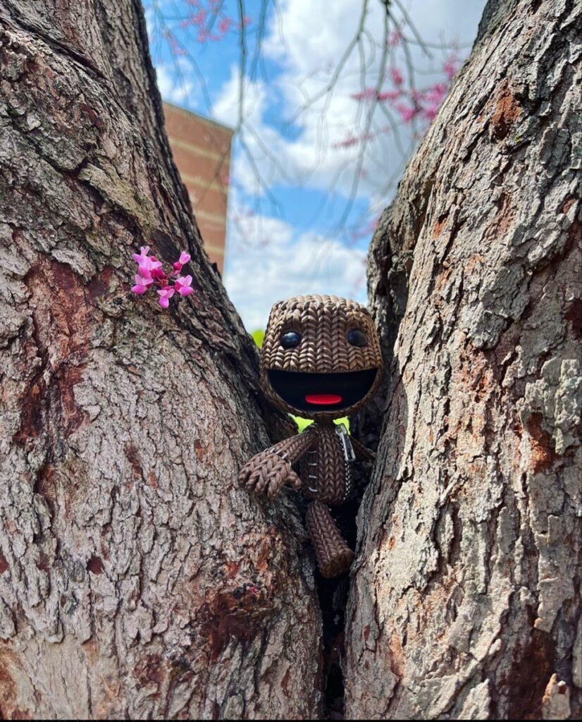 HD & 4K Sackboy PFPs