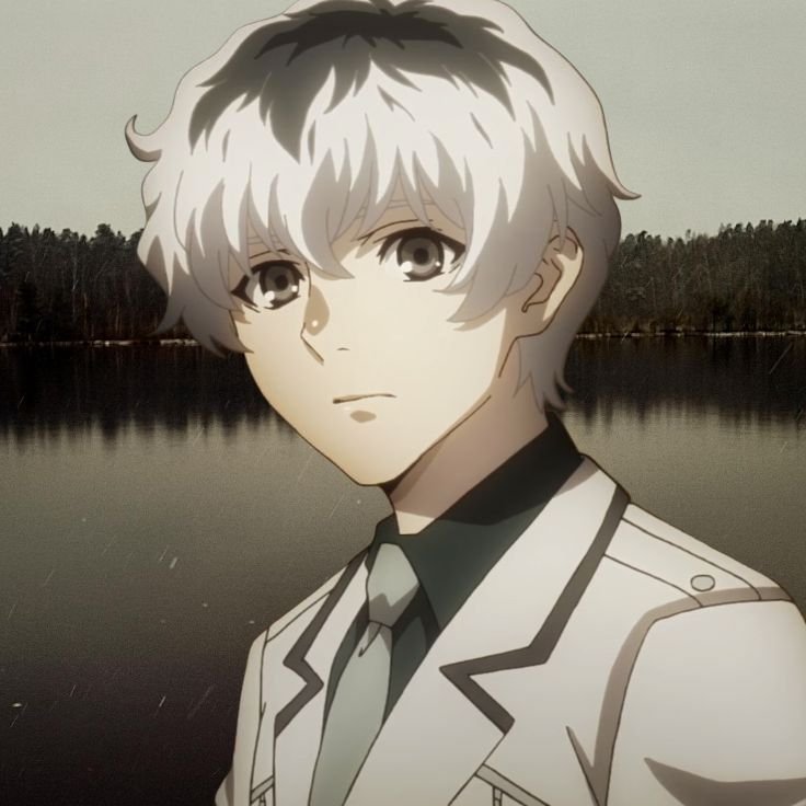 Haise Sasaki PFP The re Investigator Era