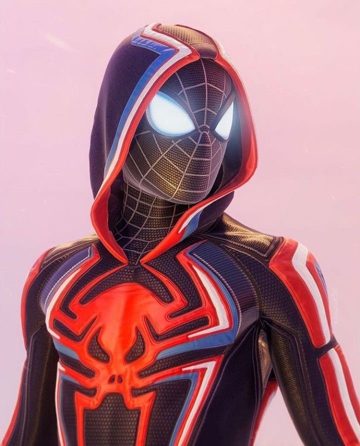 Into the Spider-Verse Suit PFP