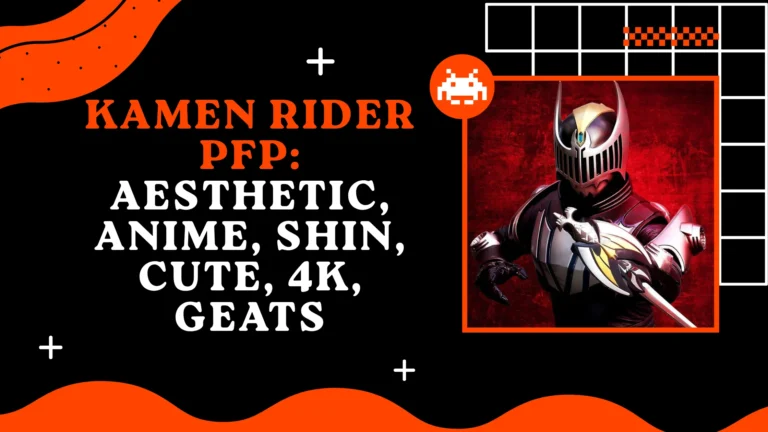 Kamen Rider PFP