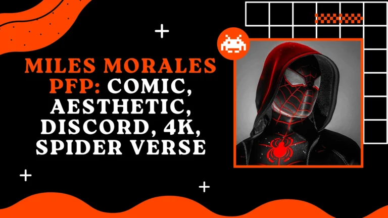 Miles Morales PFP