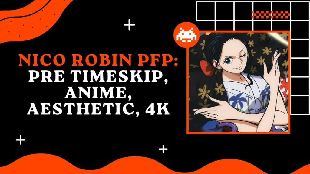 Nico Robin PFP