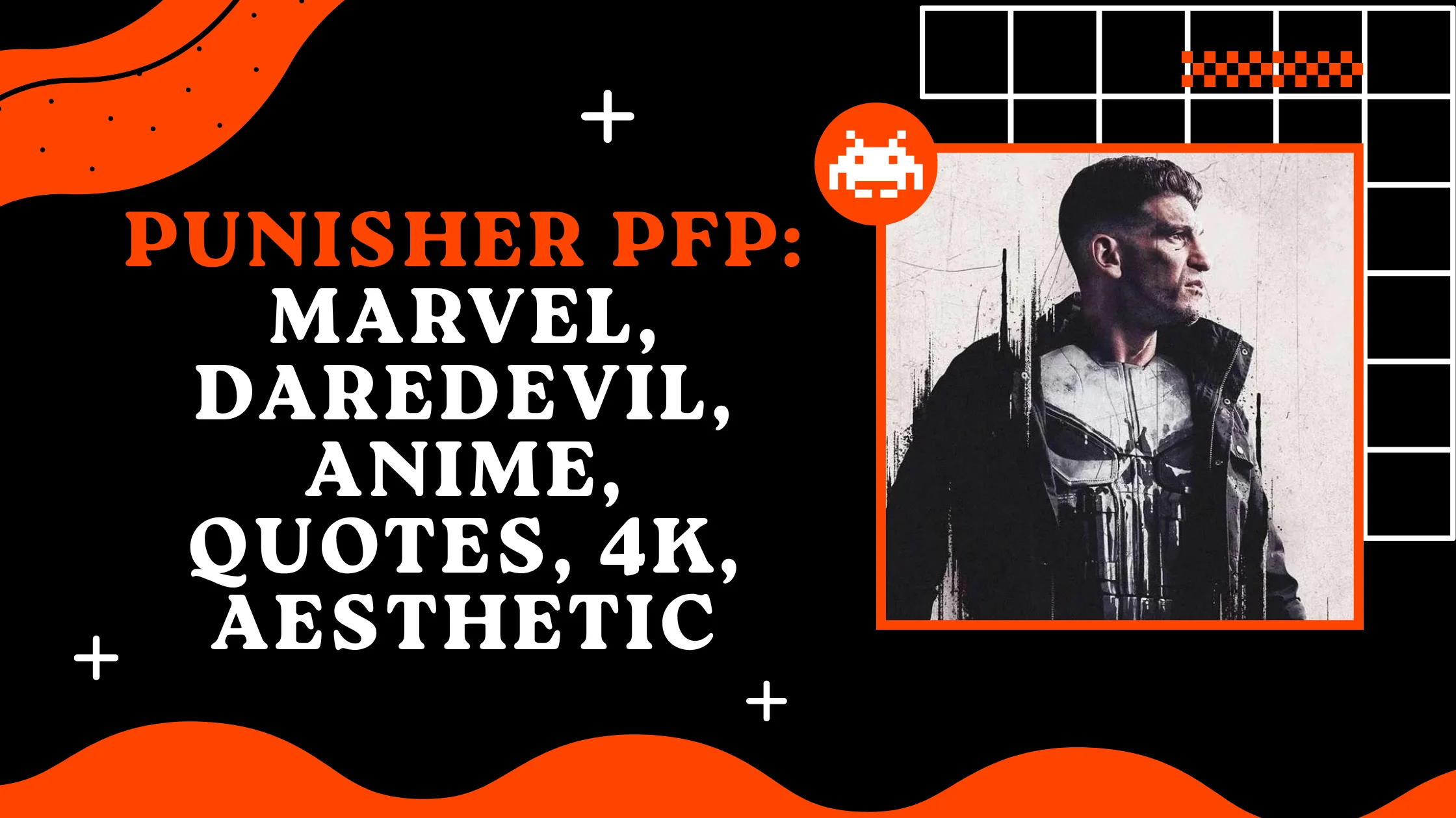 Punisher PFP