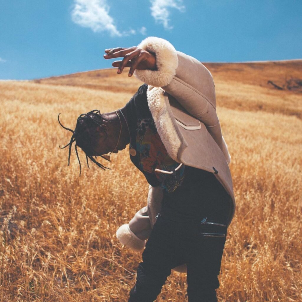 Rodeo Era Travis Scott PFPs