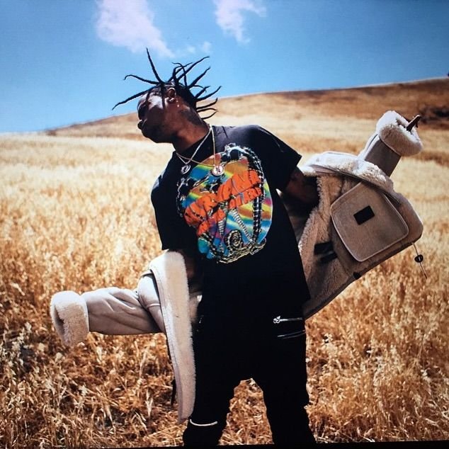 Rodeo Era Travis Scott PFPs