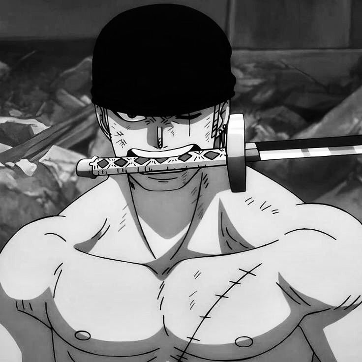 Roronoa Zoro Aesthetic PFP