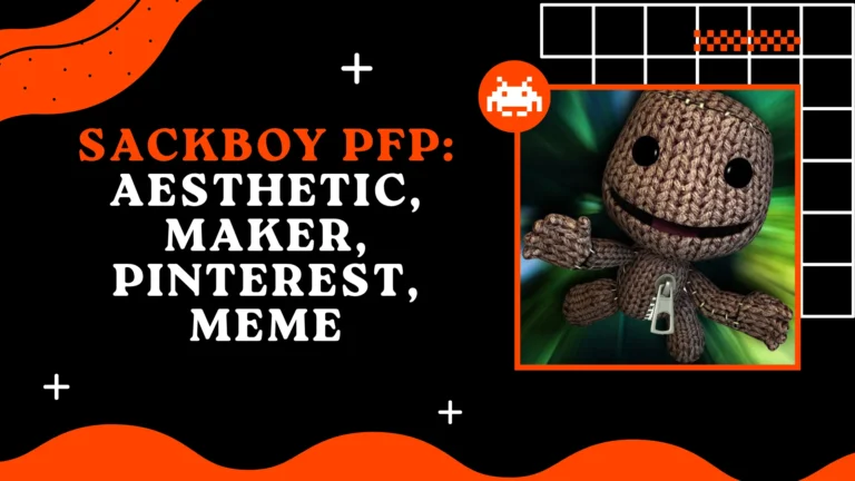 Sackboy PFP