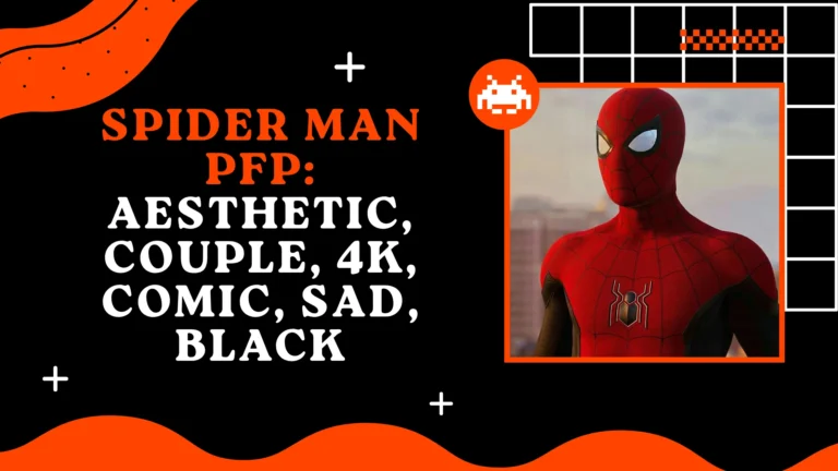 Spider Man PFP