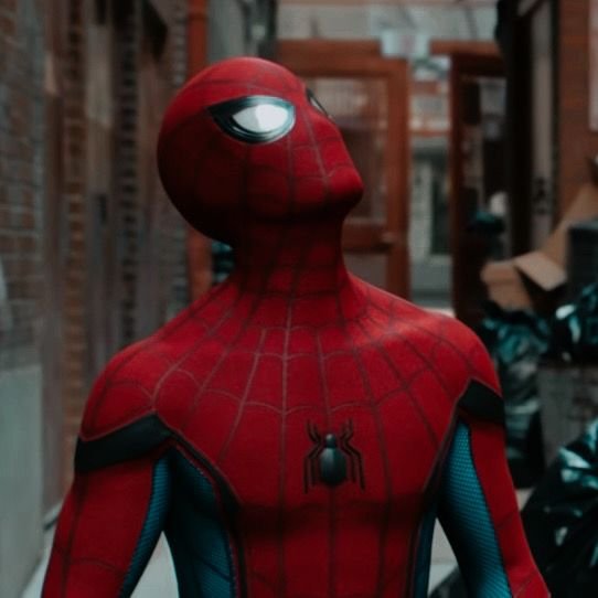 TikTok Spider Man PFPs