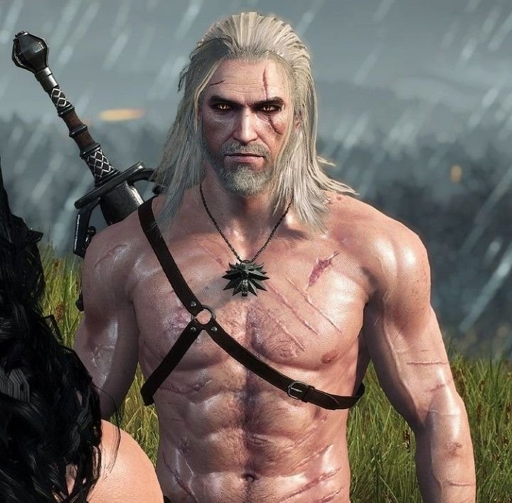 Aesthetic Witcher PFP