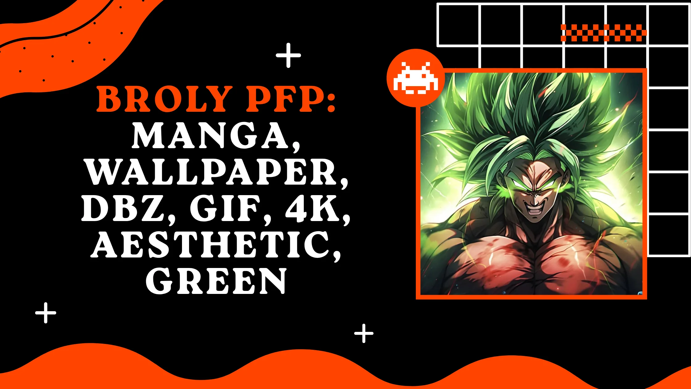 Broly PFP
