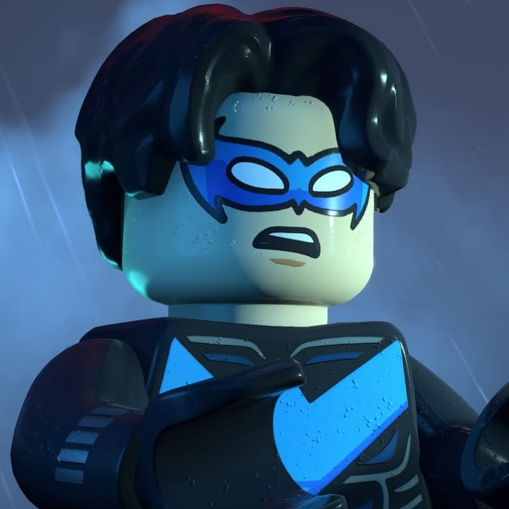 Cute Nightwing PFP