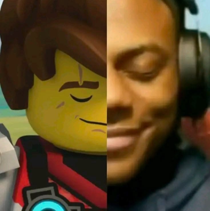 Funny LEGO Meme PFP
