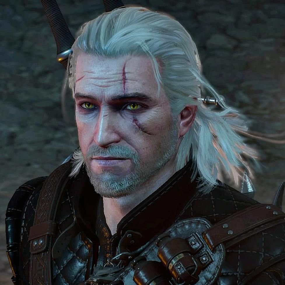 Geralt of Rivia Witcher PFP