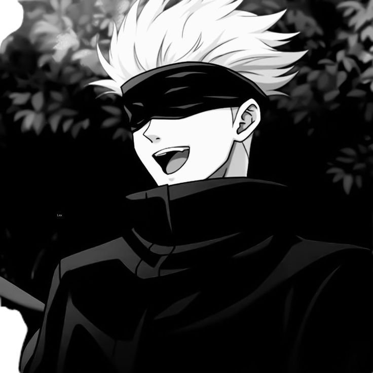 Jujutsu Kaisen Black and White PFP