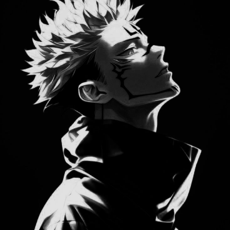 Jujutsu Kaisen Black and White PFP