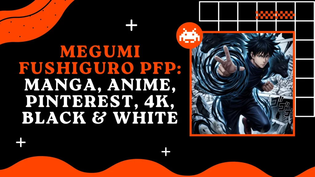 Megumi Fushiguro PFP
