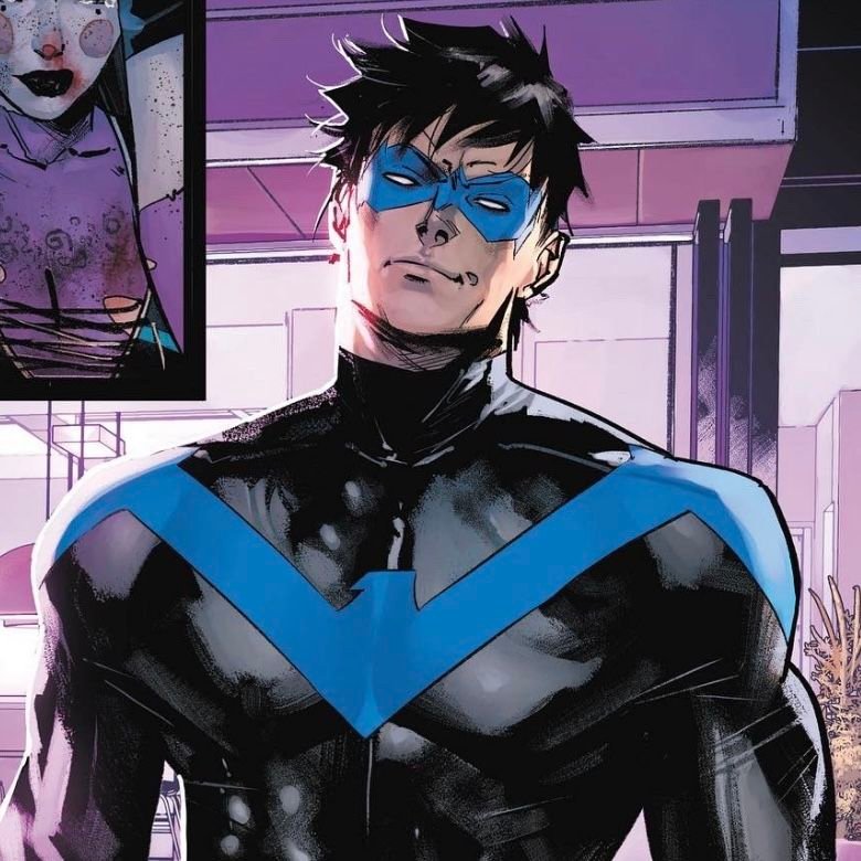 Nightwing Aesthetic PFP